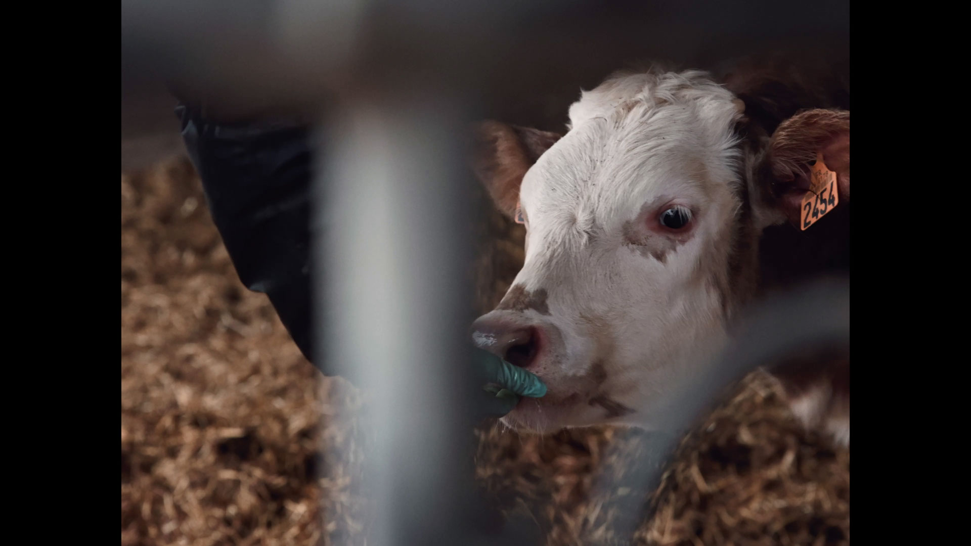 Épisode documentaire sur les producteurs partenaires d'Agromousquetaires