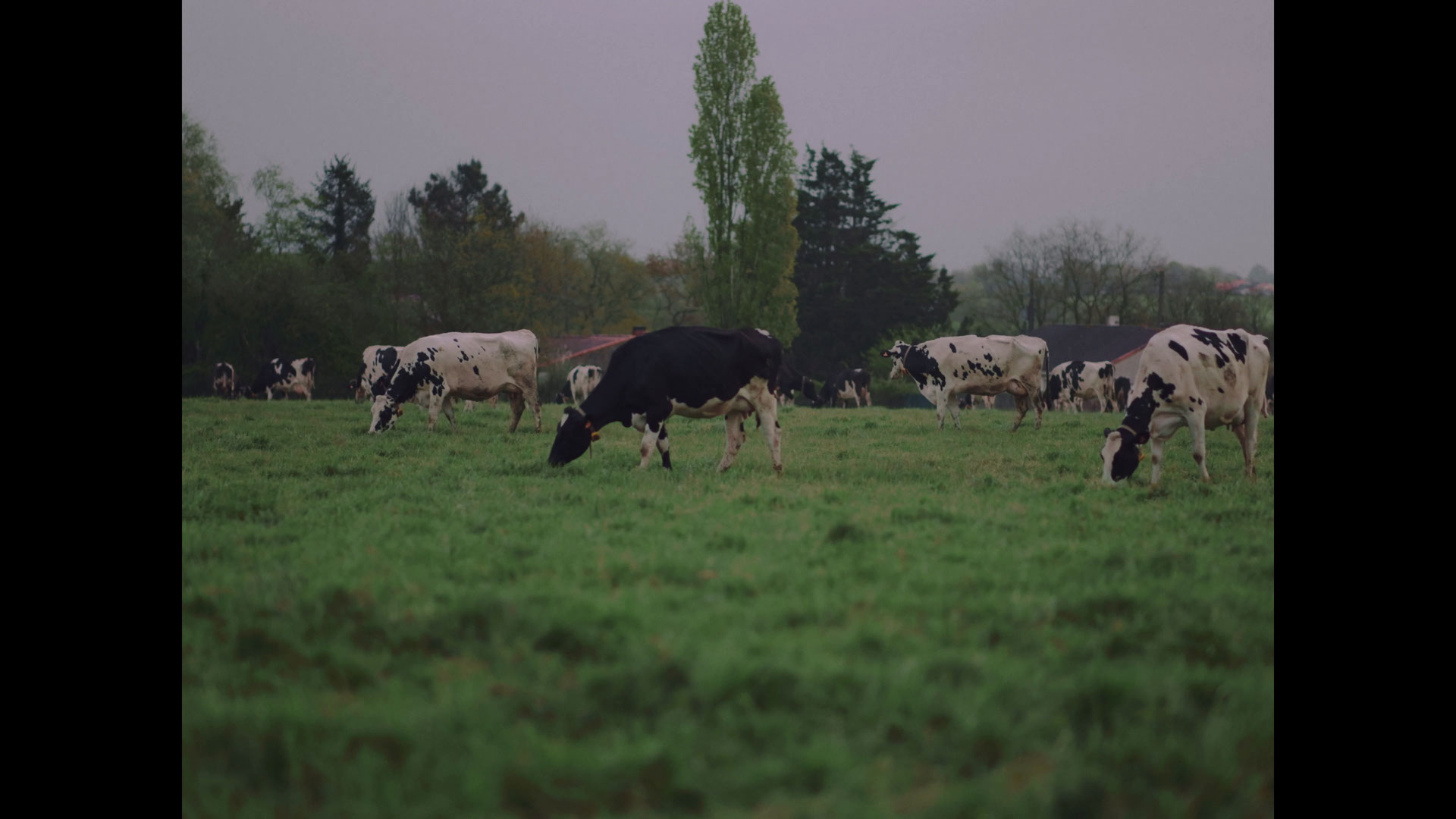 Collaborateurs en point de vente, série documentaire Agromousquetaires