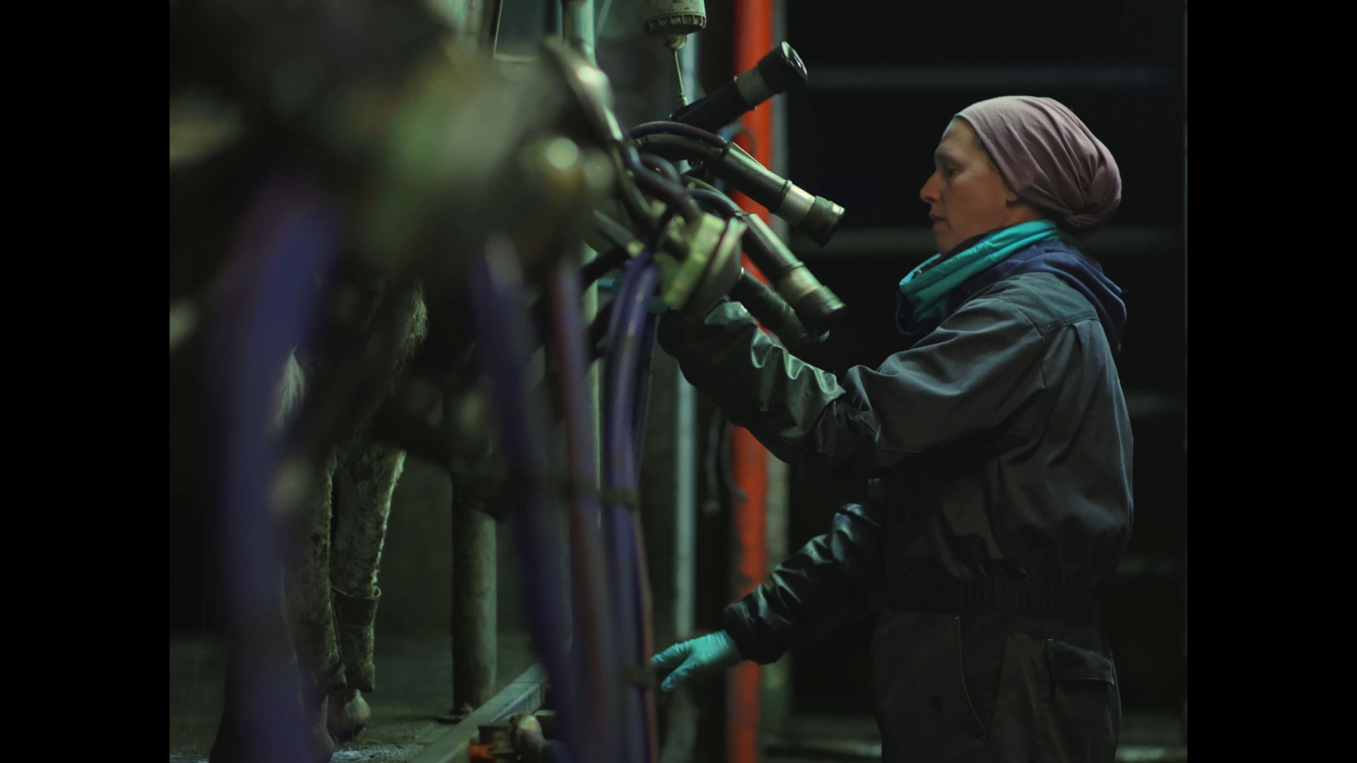 Consommateurs Intermarché interviewés pour Agromousquetaires