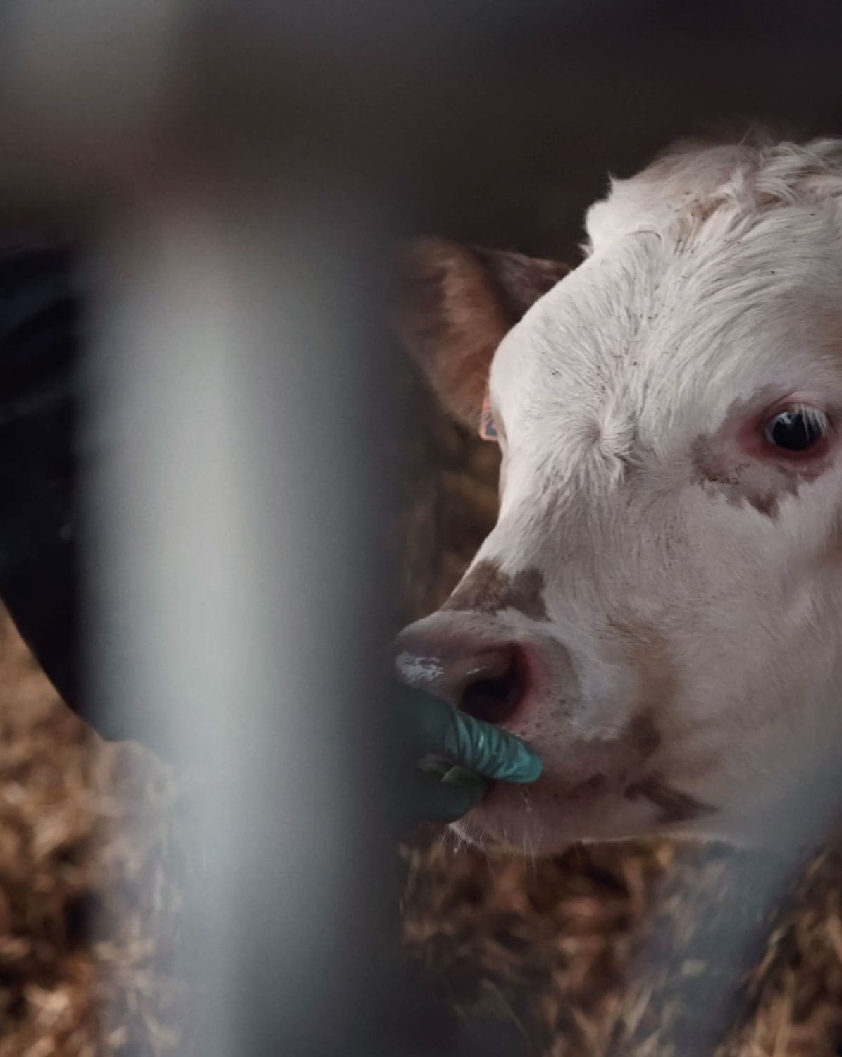 Campagne documentaire « Ce qui nous lie » pour Agromousquetaires, par brando.